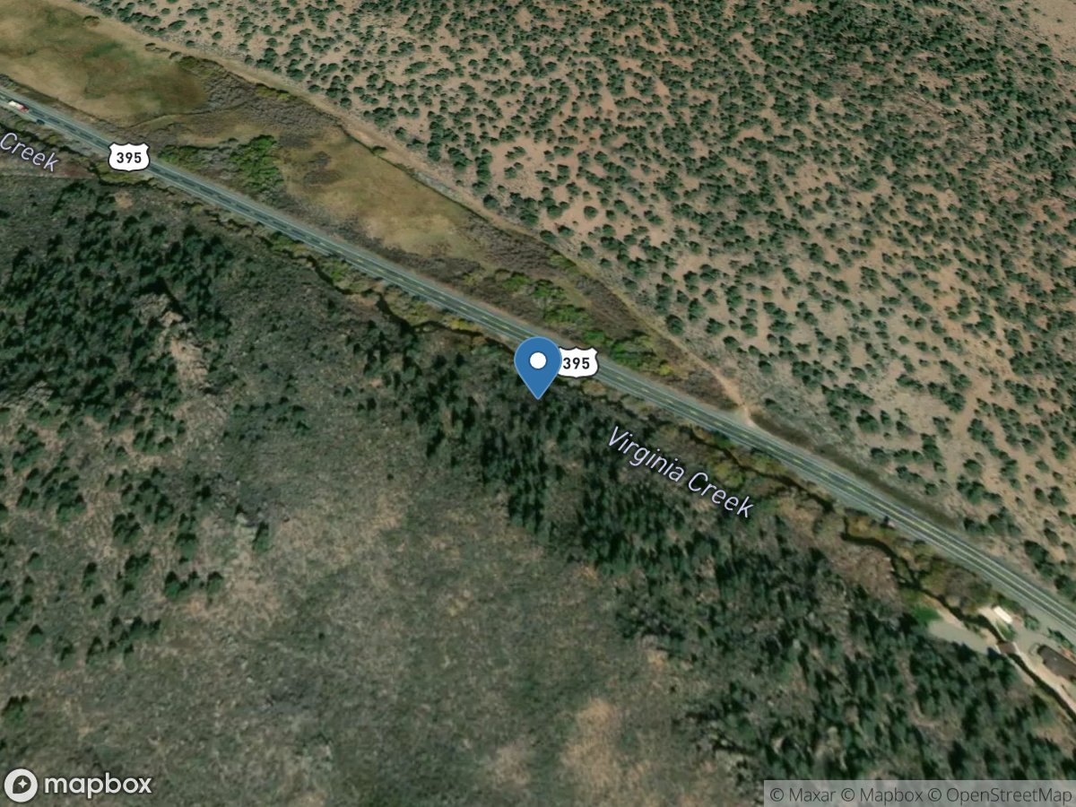 Virginia Creek near Bridgeport, CA location