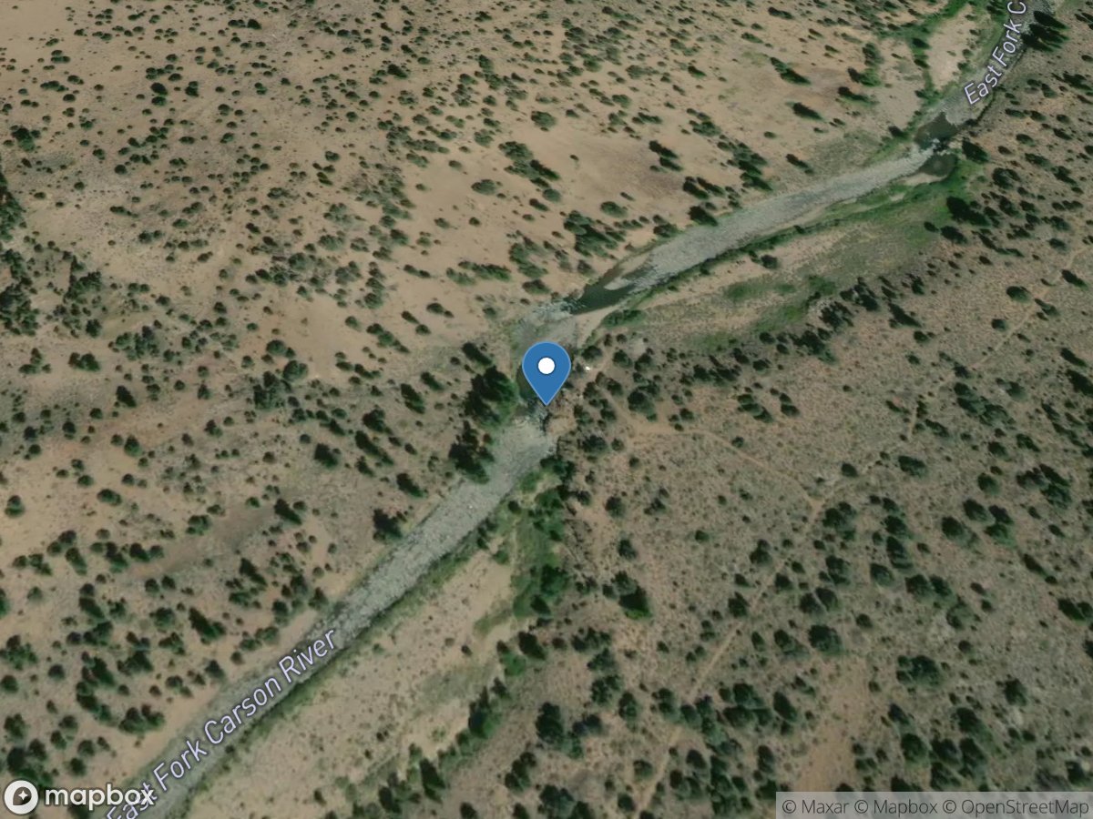 E Fork Carson RV below Markleeville Creek near Markleeville location