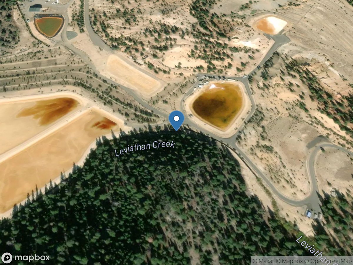 Unnamed Tributary 1 to Leviathan Creek at Leviathan Mine CA location