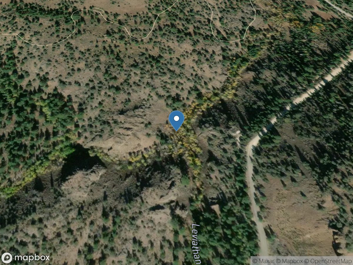 4l Creek near Markleeville CA location