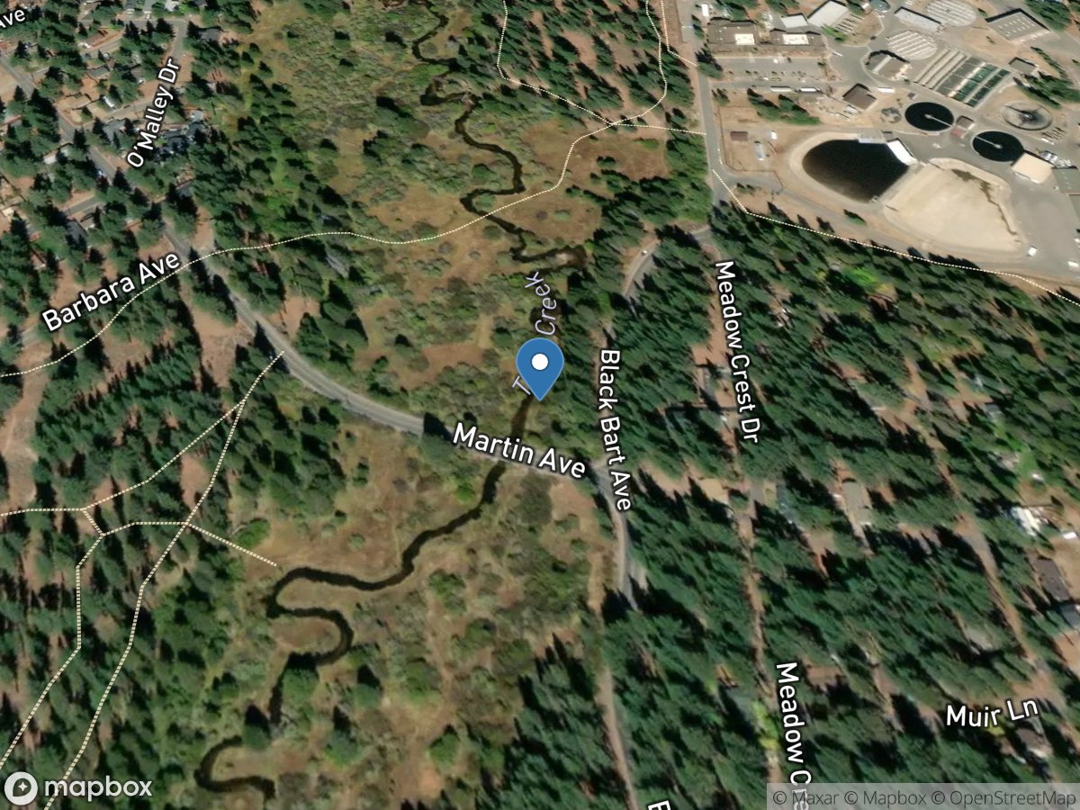 Trout Creek near Tahoe Valley, CA location