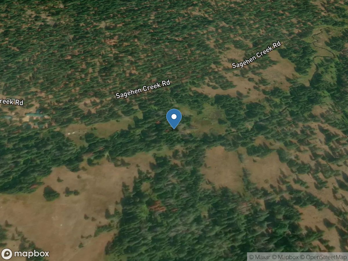 Sagehen Creek near Truckee CA location