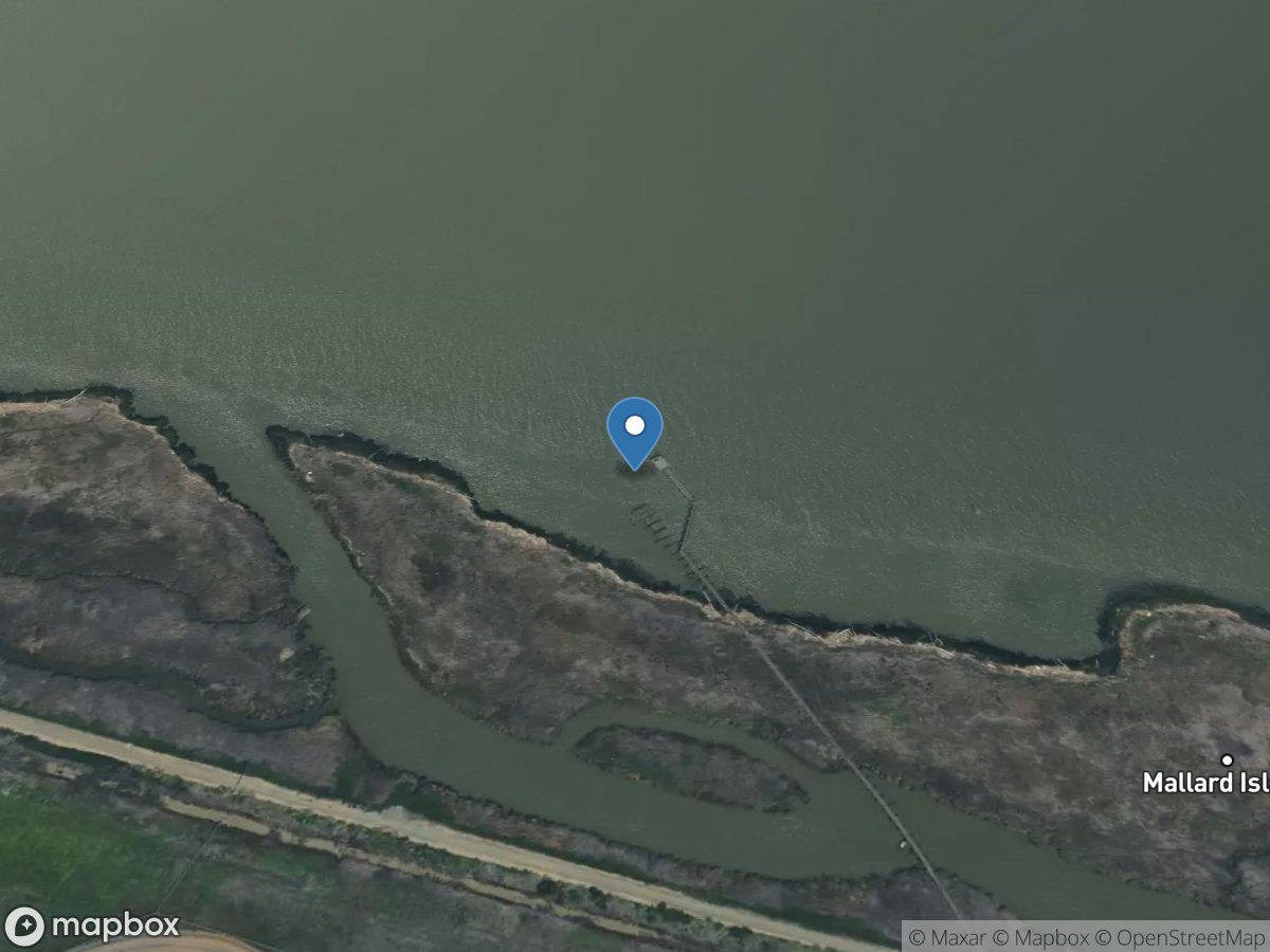 Suisun Bay a Mallard Is CA location