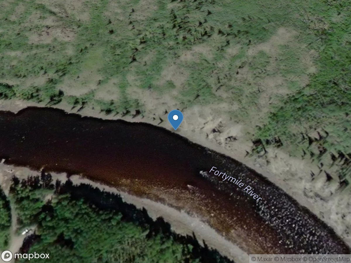 Fortymile River near Steele Creek AK location