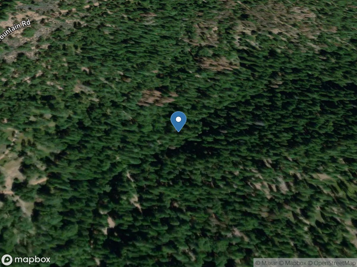 Forest Creek near Wilseyville CA location