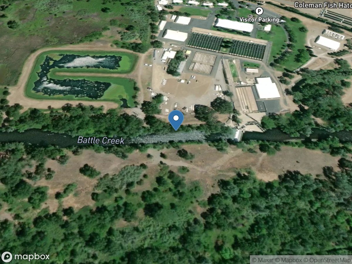 Battle Creek below Coleman Fish Hatchery near Cottonwood CA location