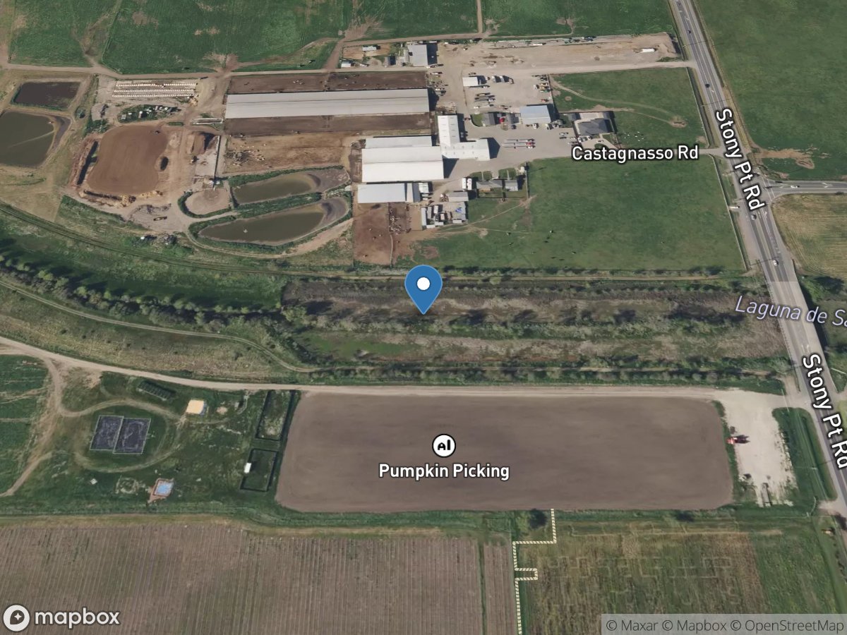 Laguna DE Santa Rosa a Stony Pt Road near Cotati CA location