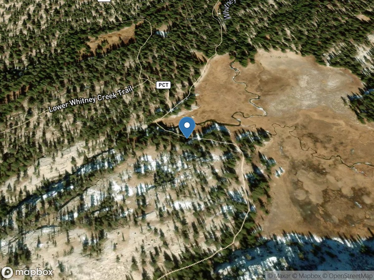 Whitney Creek below Crabtree, Seki, CA location