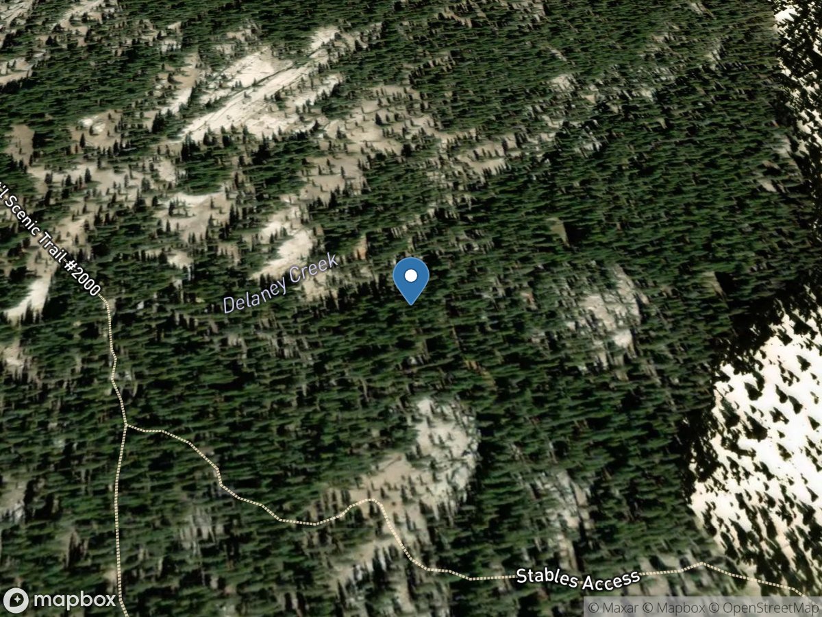 Delaney Creek above Pacific Crest Tr near Tuolumne Meadows location