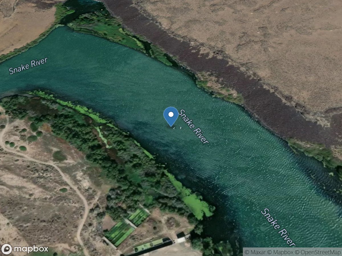 Snake River above Blue Heart Spring near Wendell, ID location