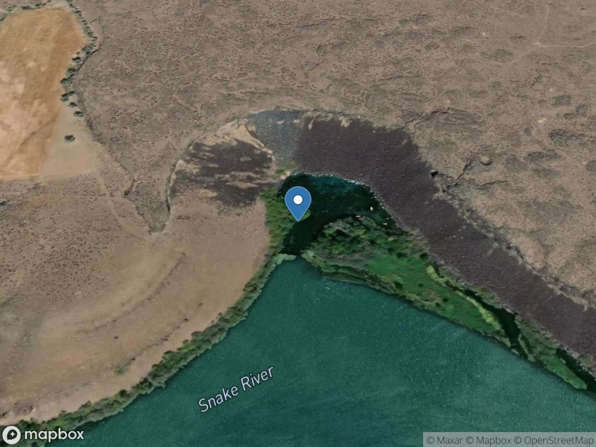 Blue Heart Spring near Hagerman, ID location