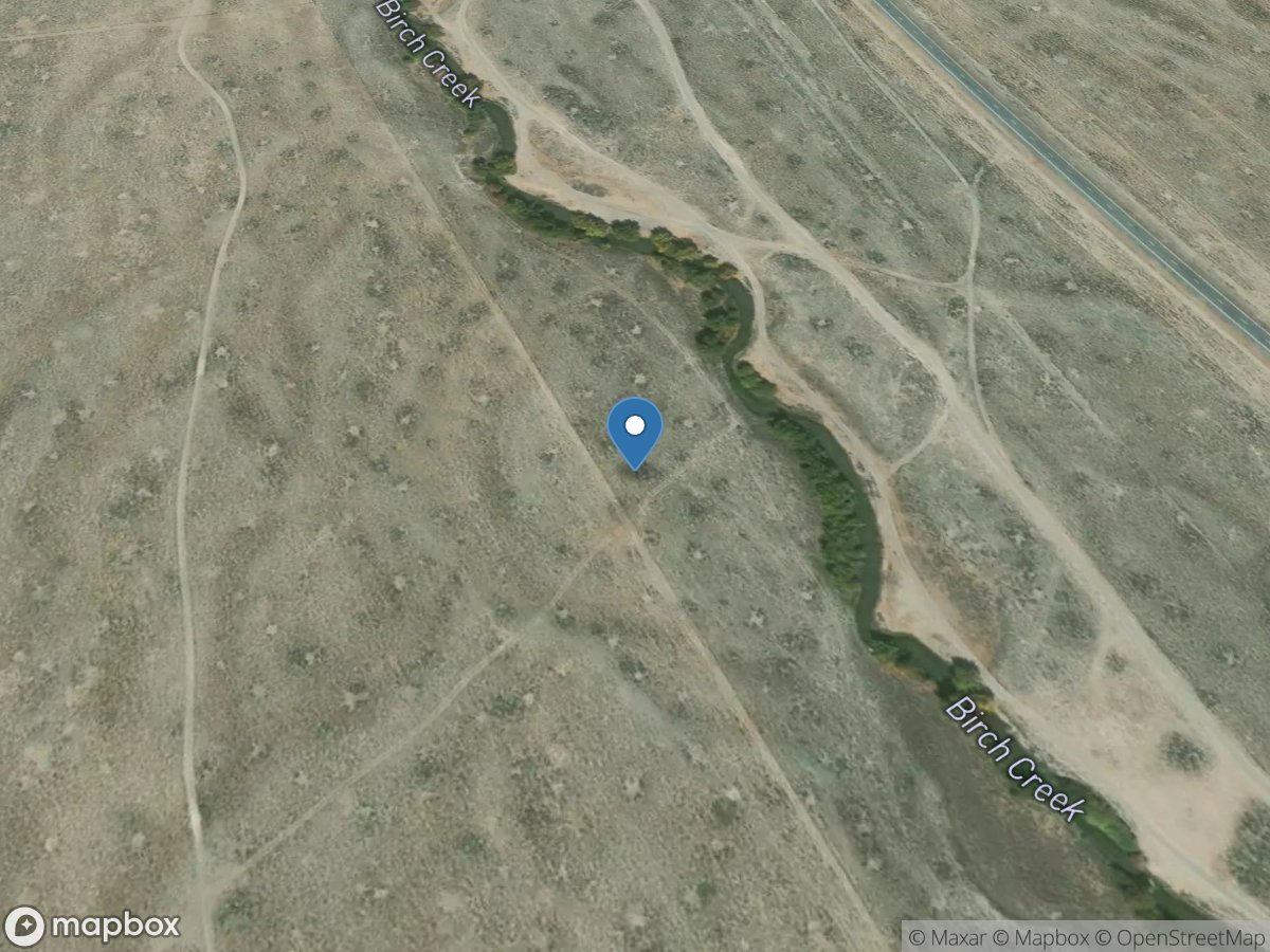 Birch Creek above K DAM near Blue Dome ID location