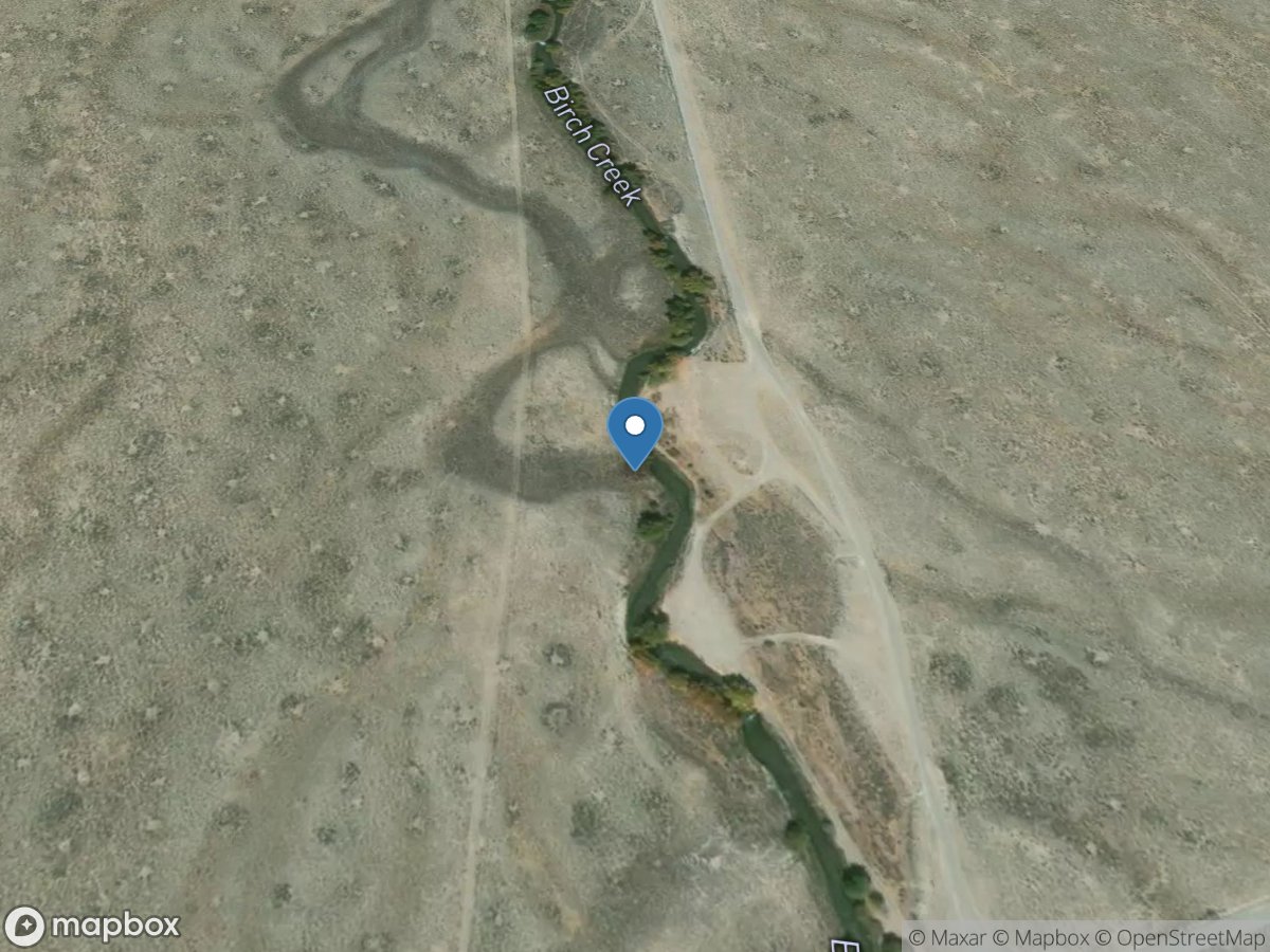 Birch Creek below Fifteenth K DAM near Blue Dome ID location