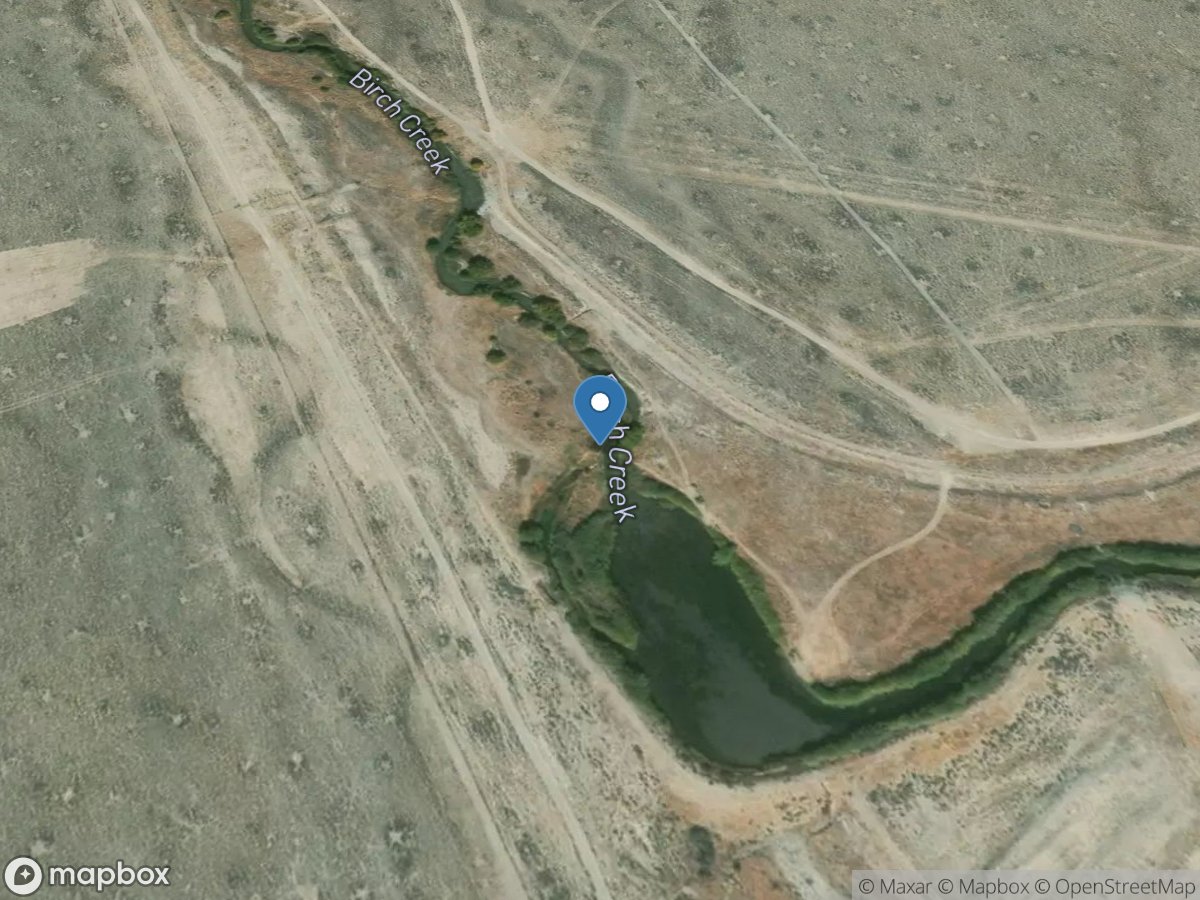 Birch Creek above Power CO Pond near Blue Dome ID location