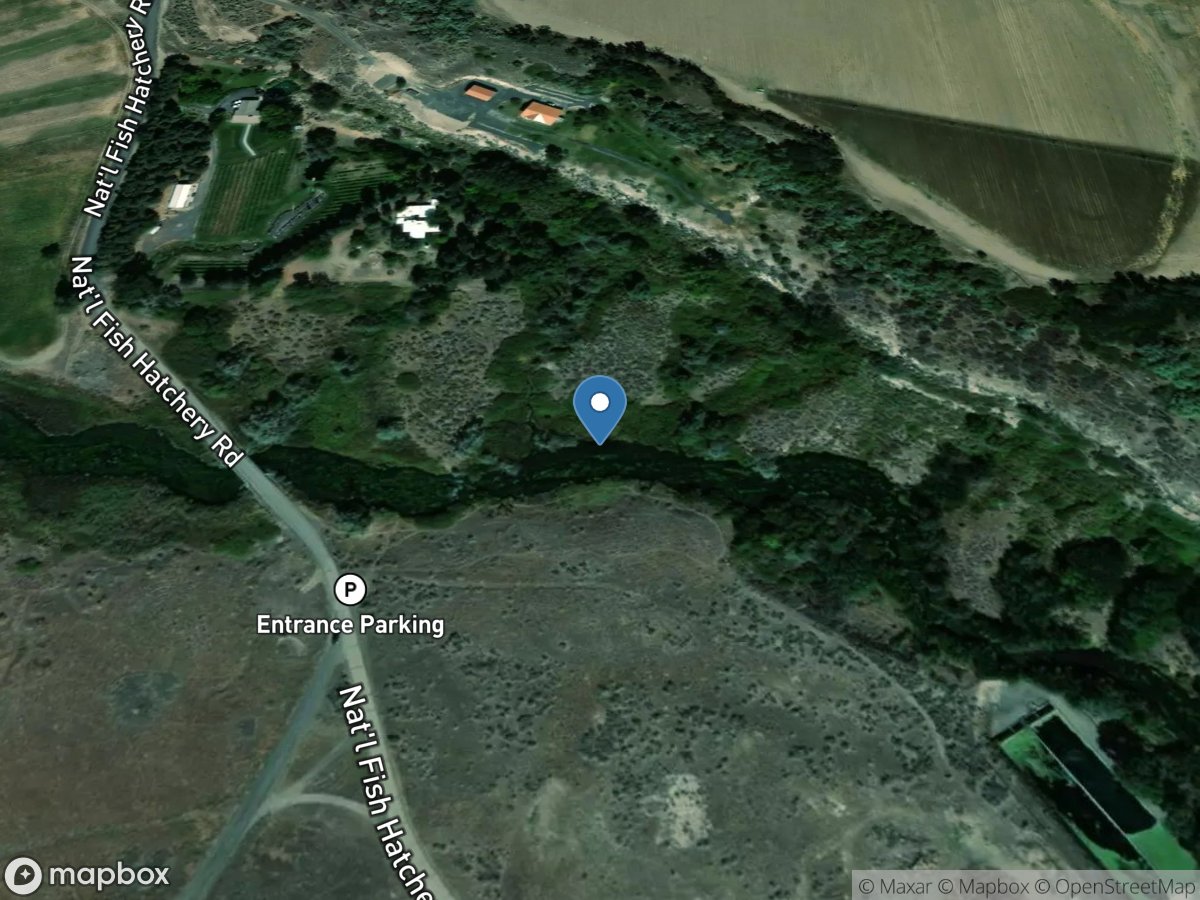 Combo Riley Creek Brailsford Ditch near Hagerman location