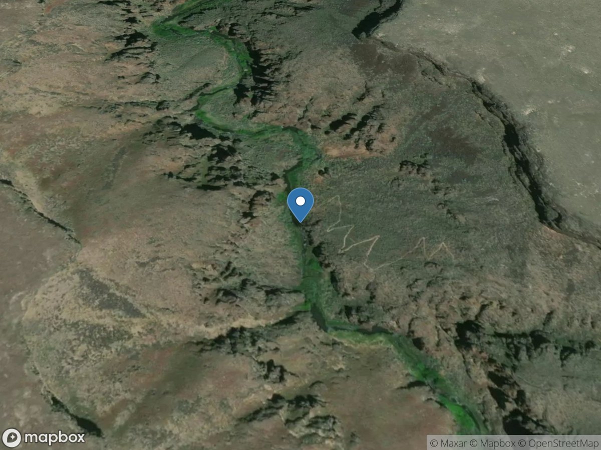 Big Jacks Creek at Parker Trail near Grasmere, ID location