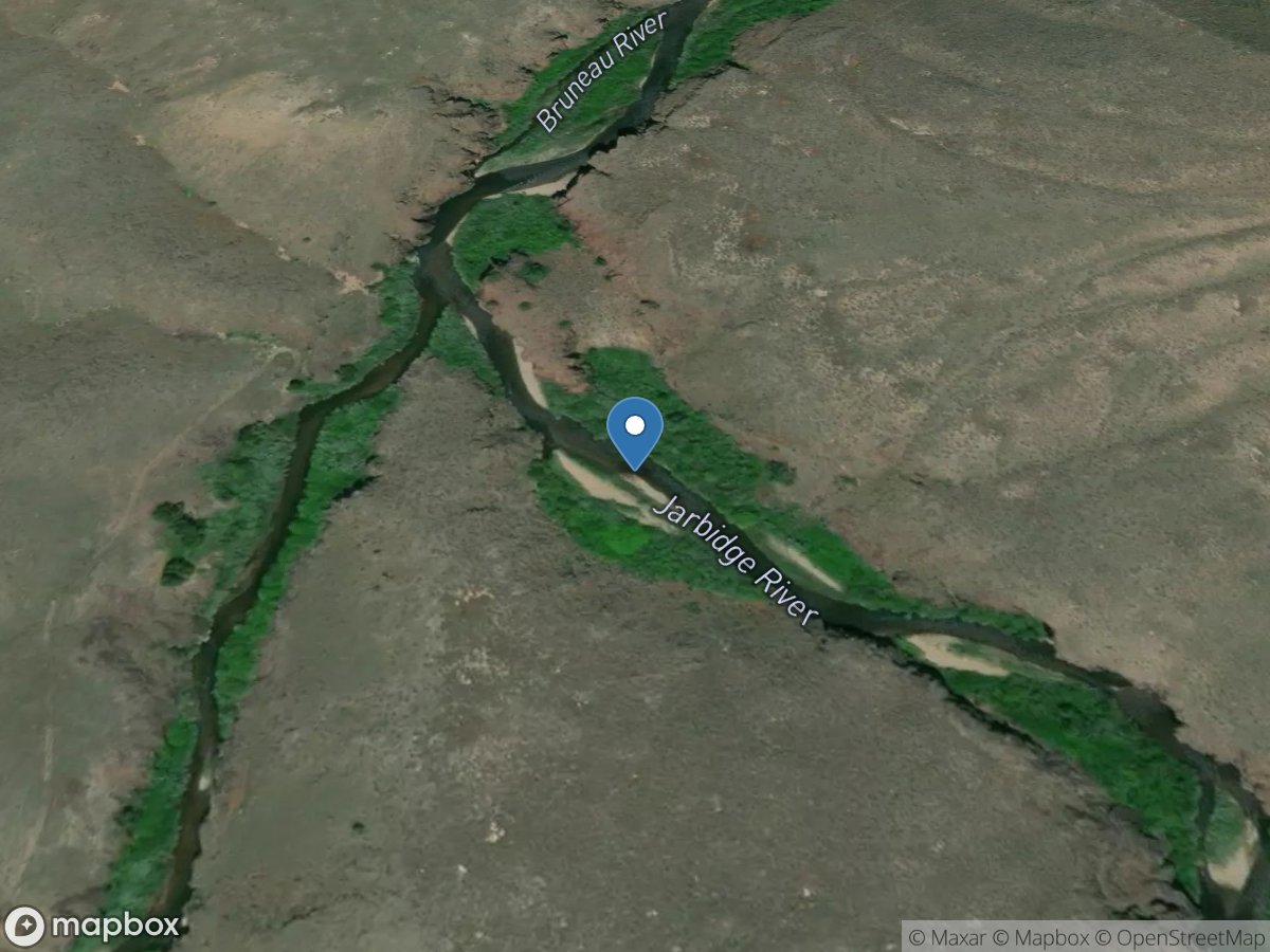 Jarbidge River above Mouth near Grasmere, ID location