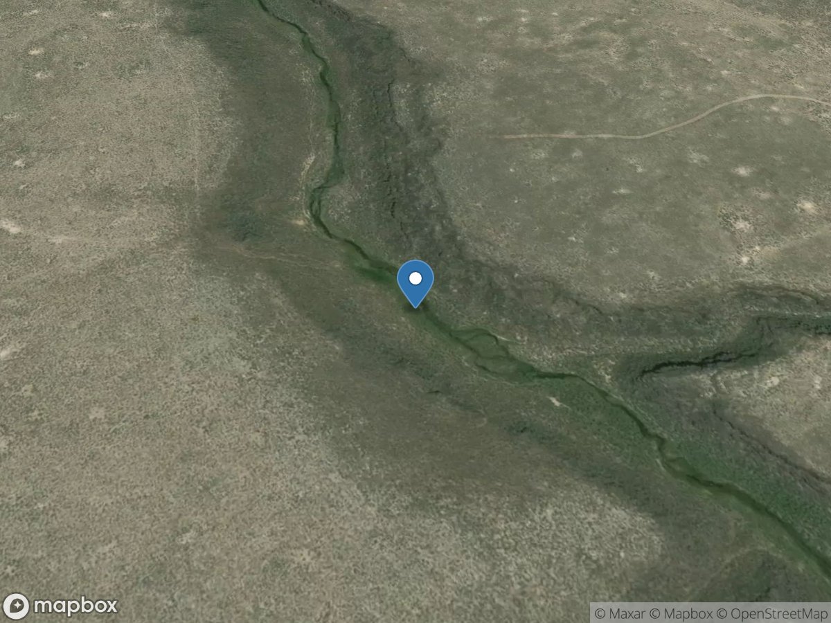 Wickahoney Creek near Grasmere, ID location