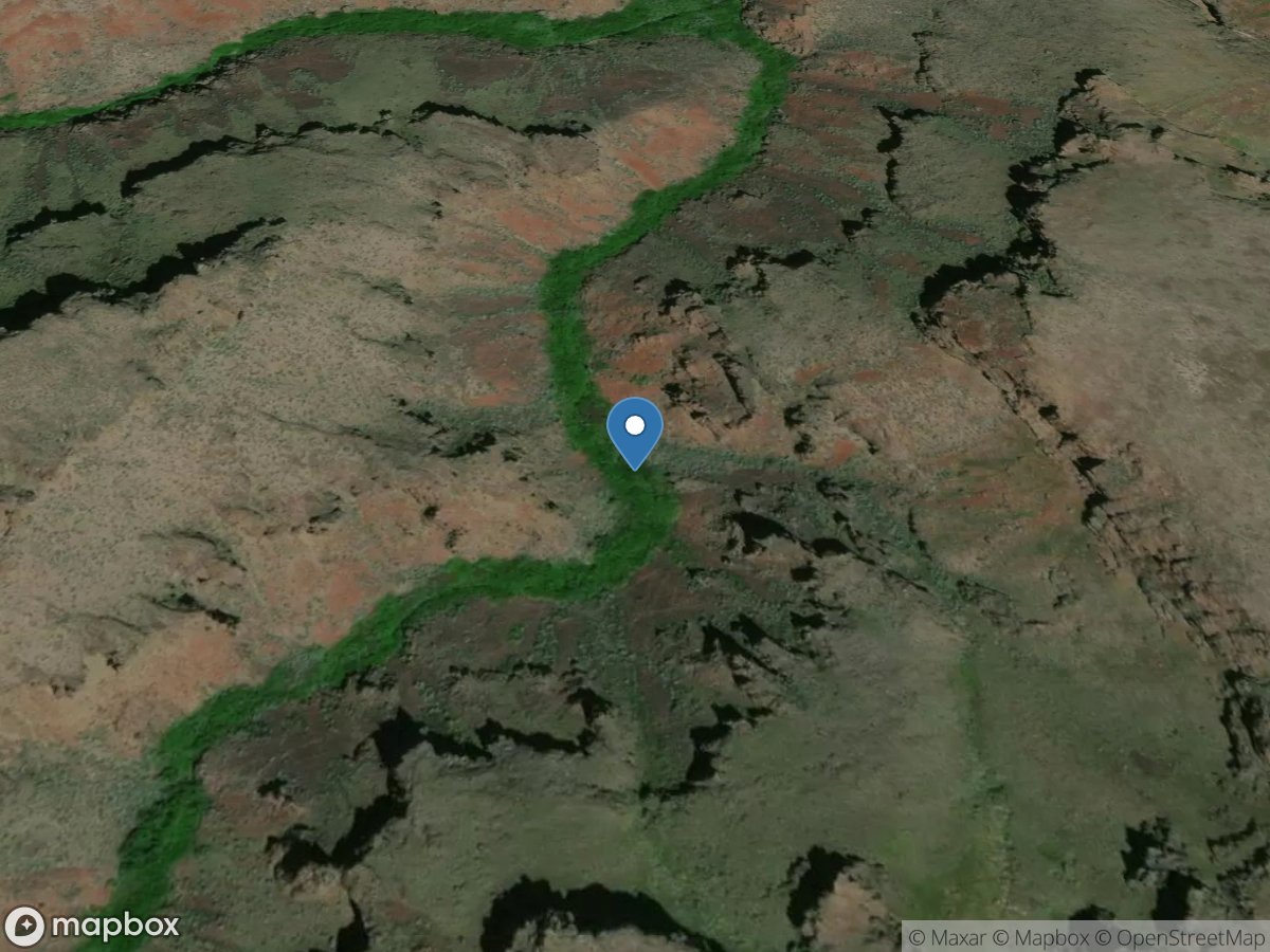 Cottonwood Creek near Harvey Point near Bruneau, ID location