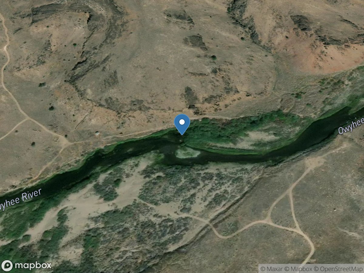 EF Owyhee River at Crutcher Crossing, ID location