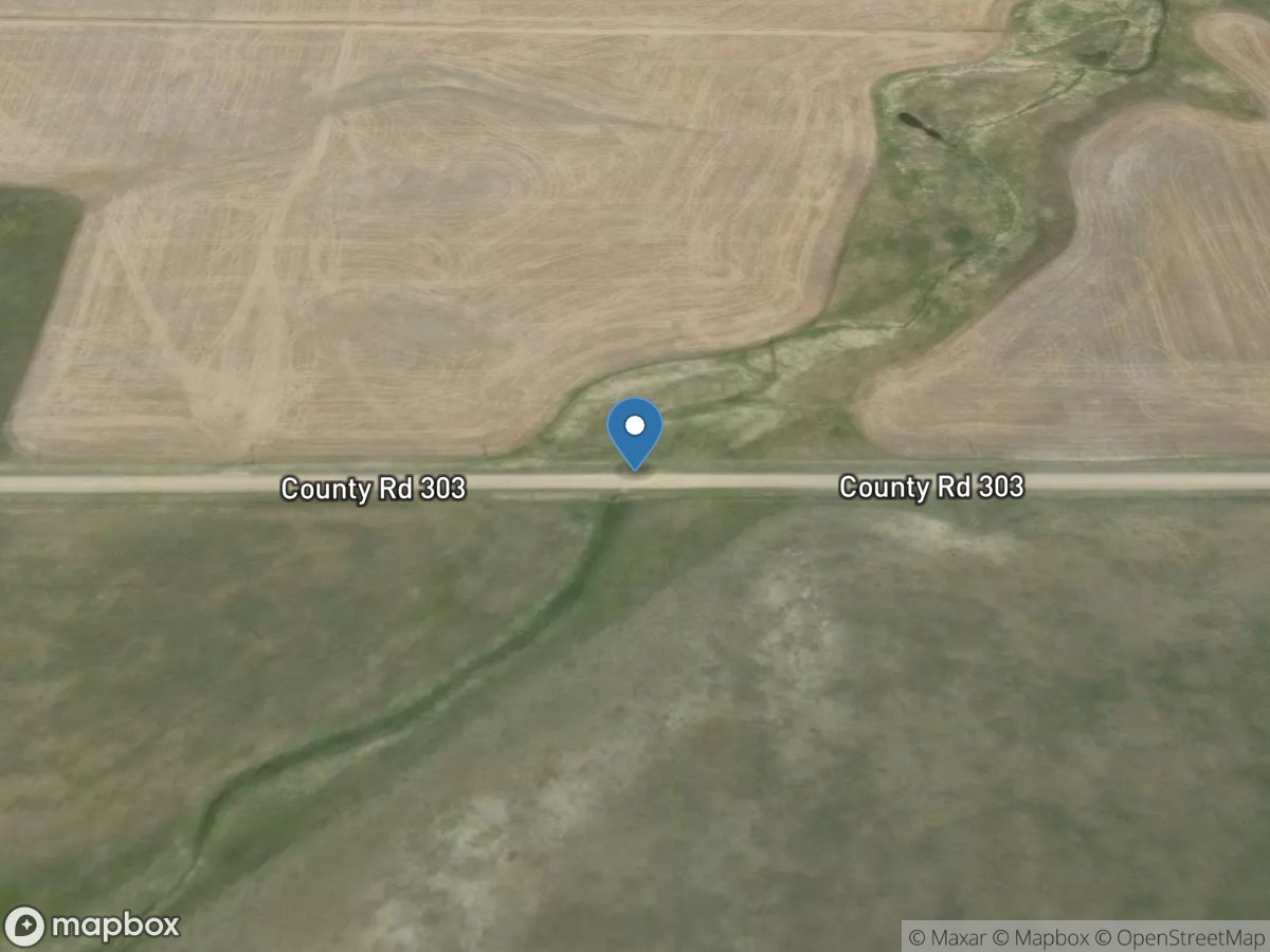 Wolf Creek trib near Coffee Creek MT location