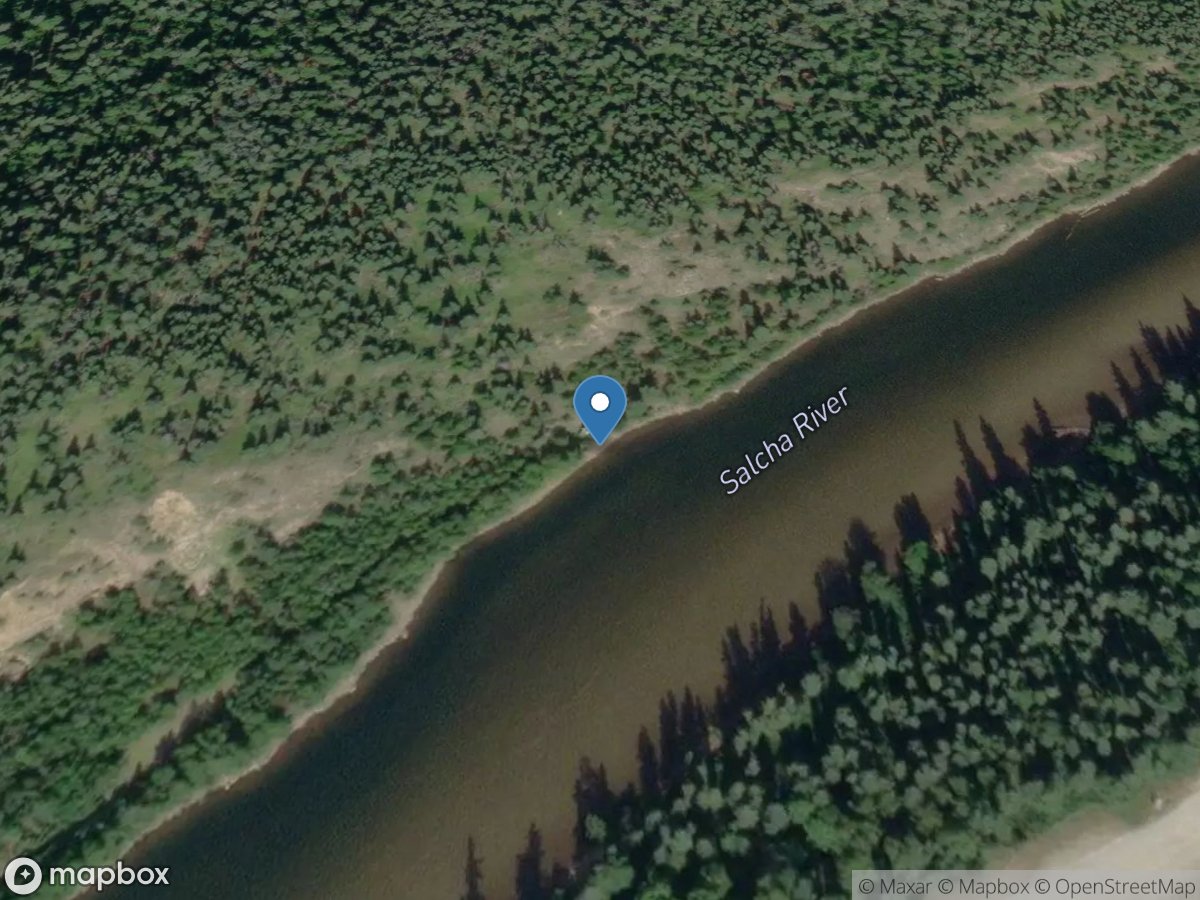 Salcha River near Salchaket AK location