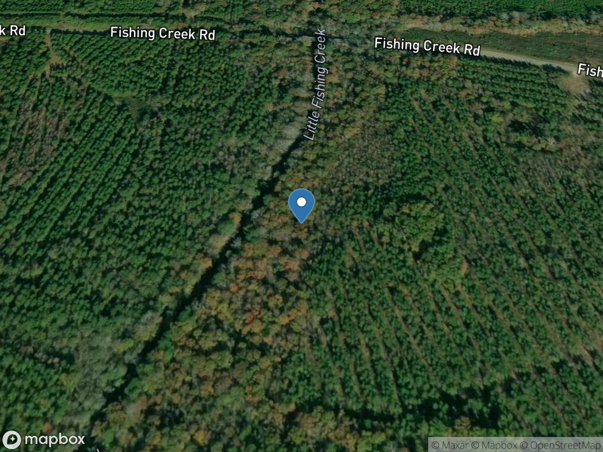 Little Fishing Creek near White Oak, NC location