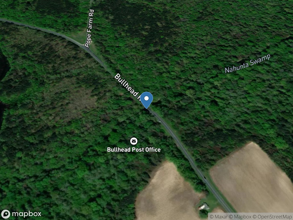 Nahunta Swamp near Shine, NC location