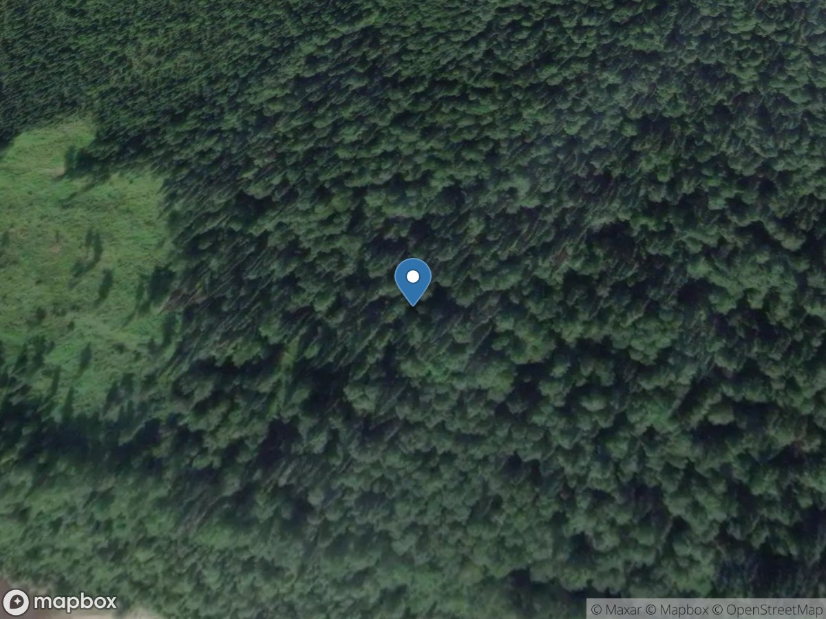 CHENA River Below HUNTS Creek Near TWO RIVERS AK location