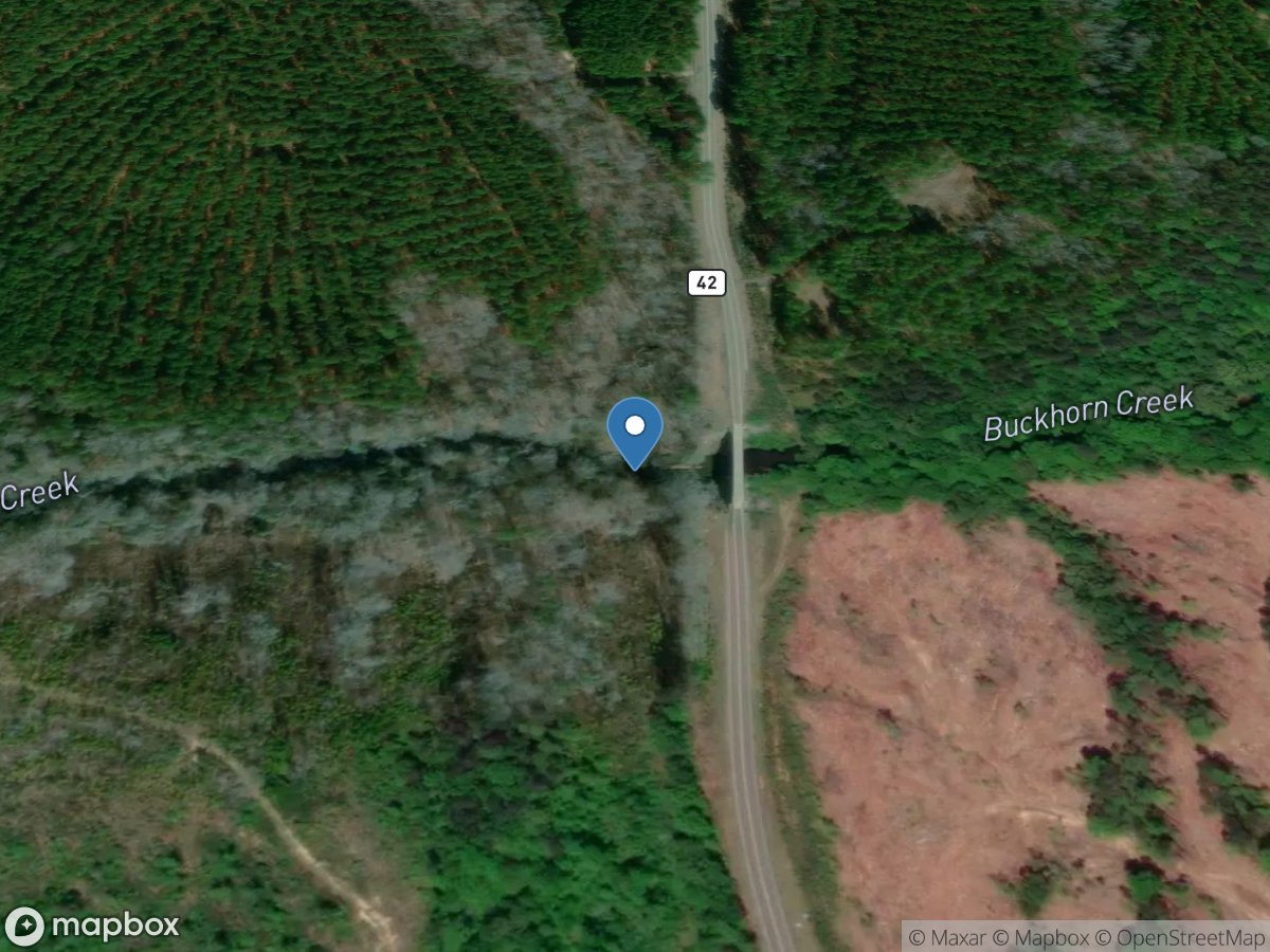 Buckhorn Creek near Corinth, NC location