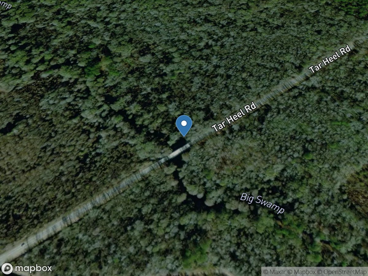 Big Swamp near Tar Heel, NC location