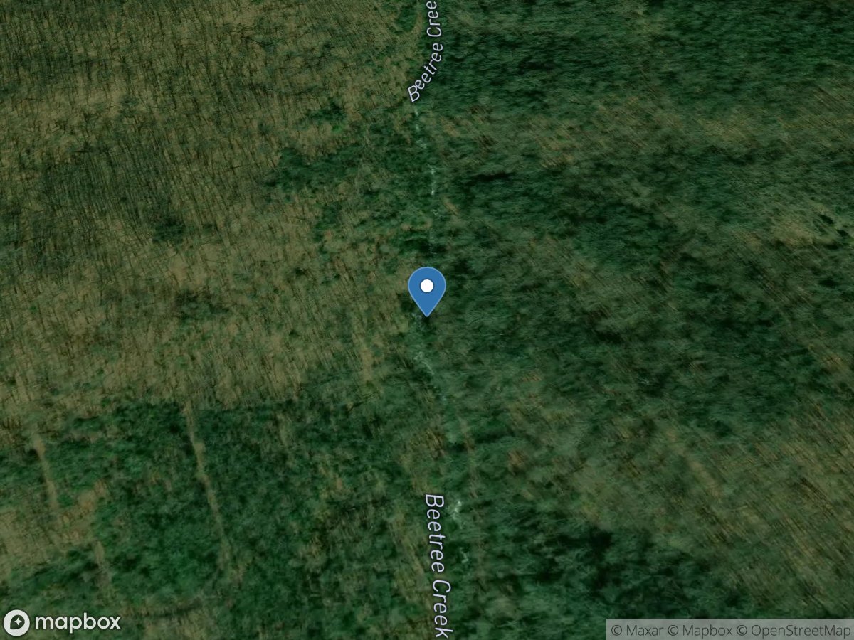 Beetree Creek near Swannanoa, NC location