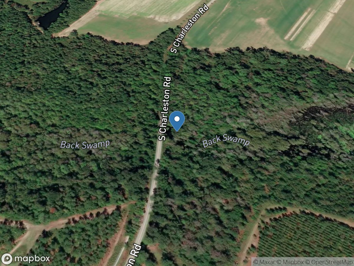 Backswamp near Darlington, S.c. location