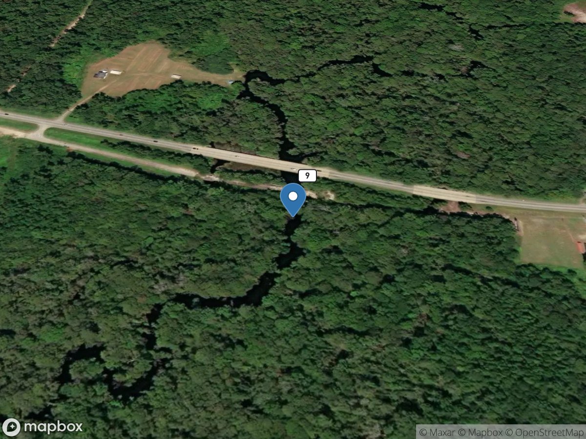 Little Pee Dee River near Dillon, SC location