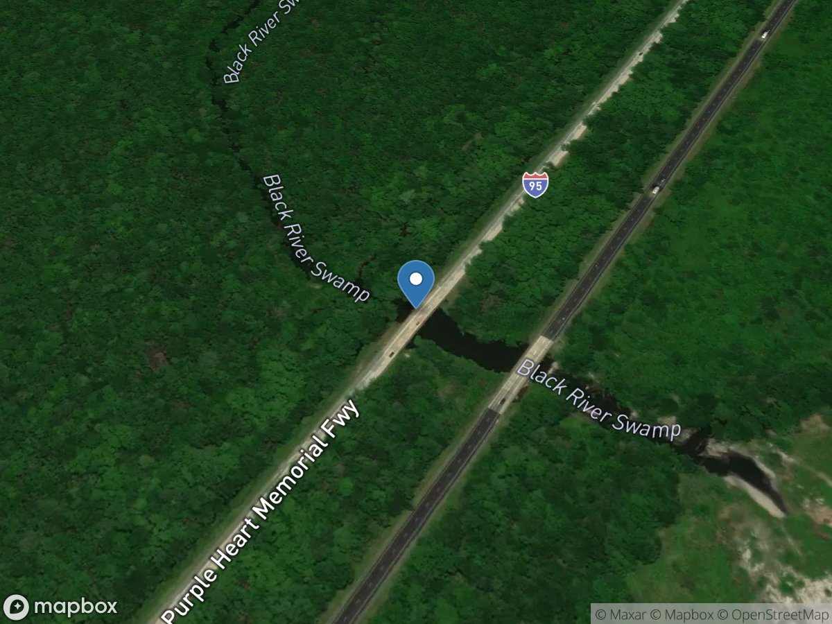 Black River at I-95 near Manning, SC location