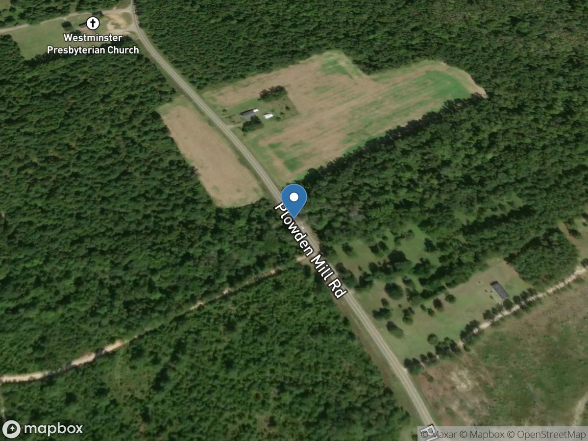 Trib to Tearcoat Branch near Manning, SC location