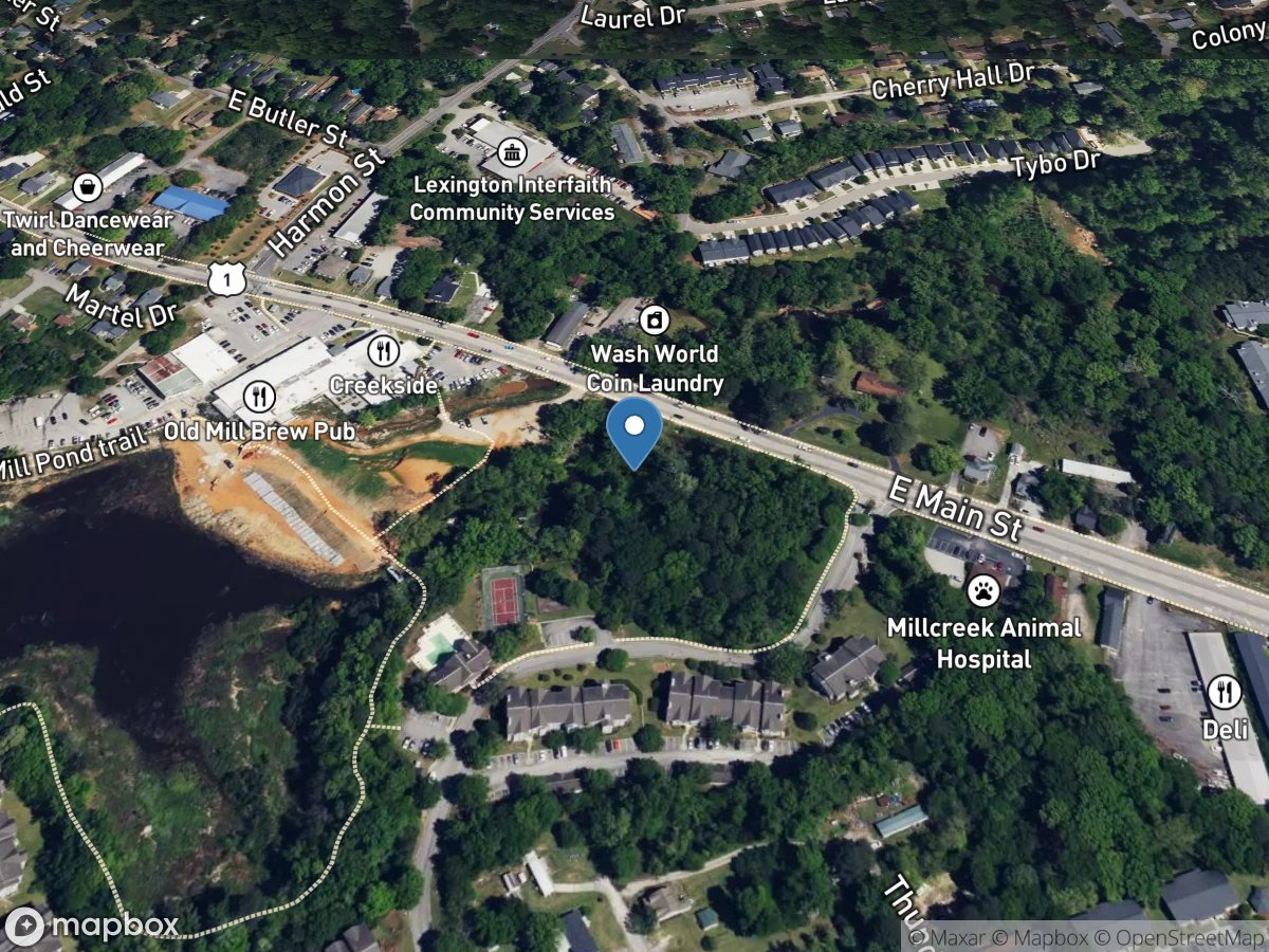 Twelve Mile Creek at Lexington, SC location