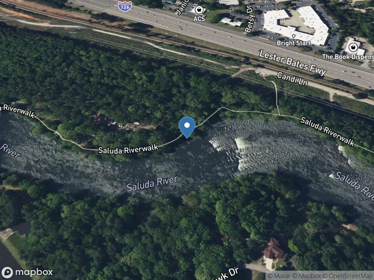 Saluda River near Columbia, SC location