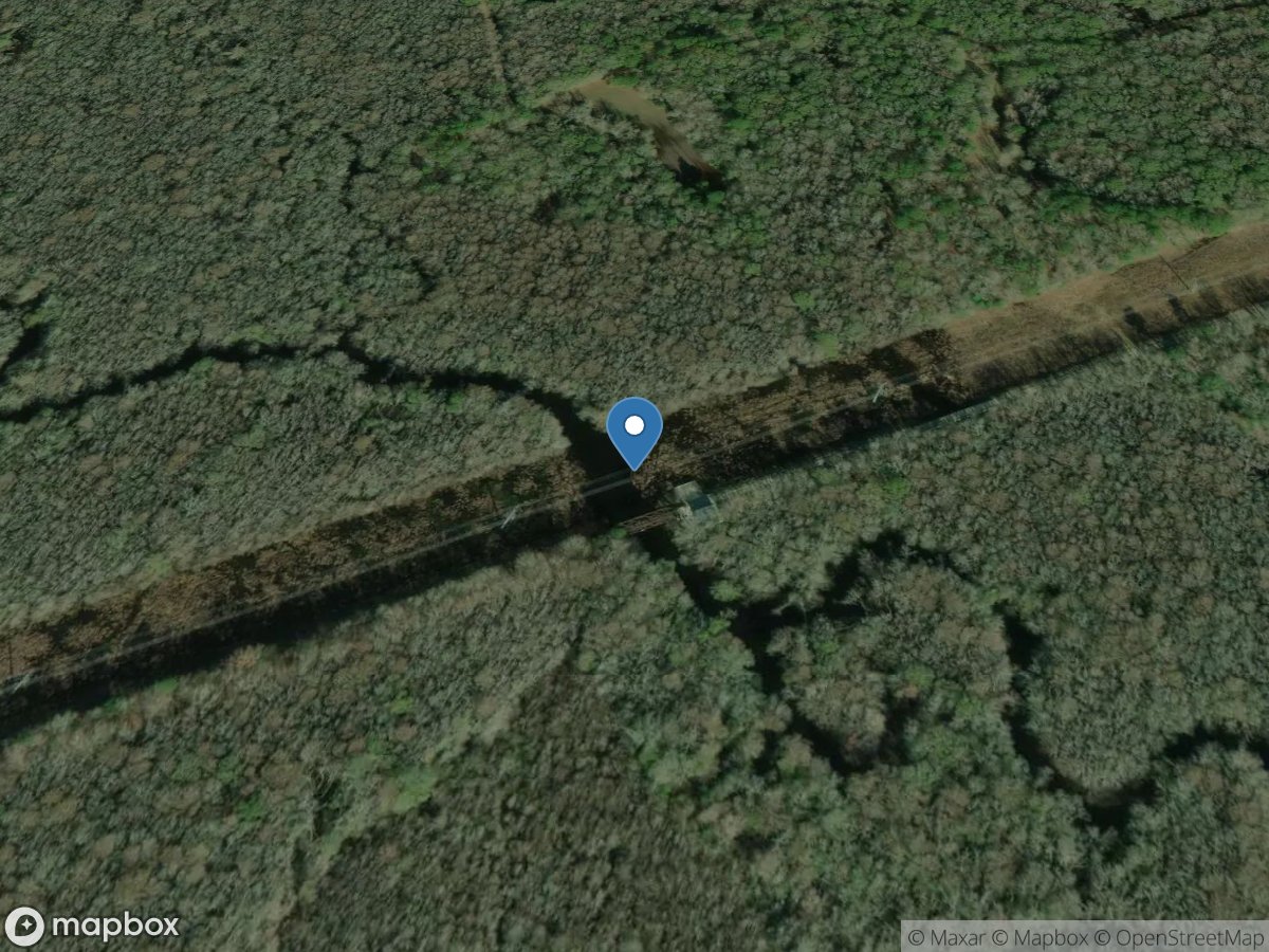 South Fork Edisto River near Cope, SC location