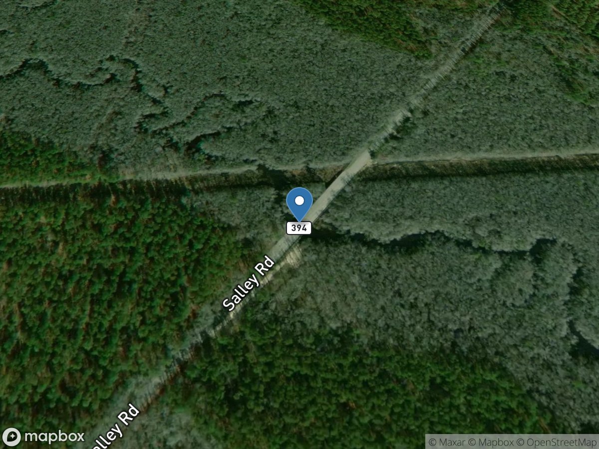 North Fork Edisto River at Sc394, above North, SC location