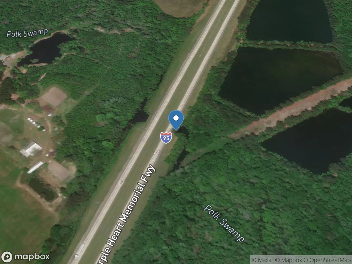 Polk Swamp at I-95 above ST George, SC location