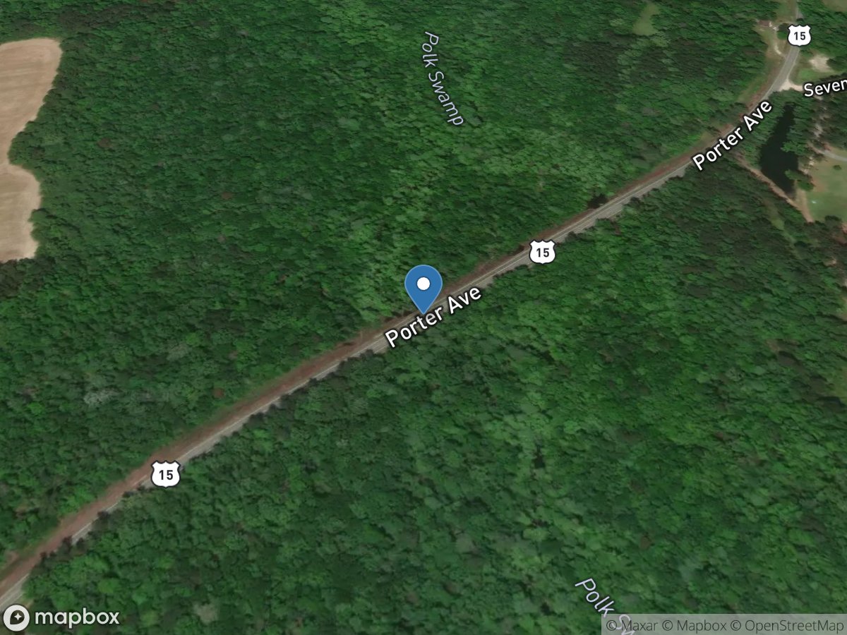 Polk Swamp at US-15 below ST George, SC location