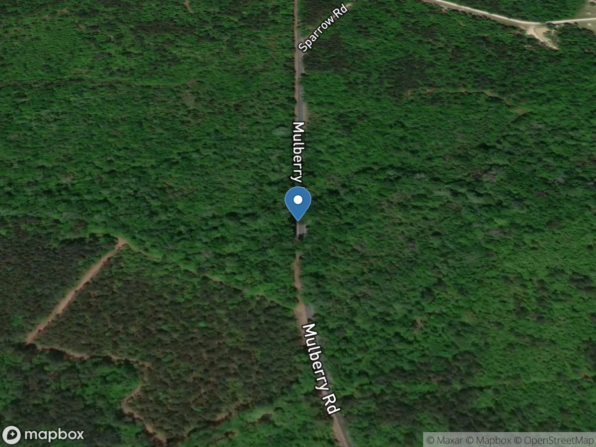 Indian Field Swamp at Mulberry Road near ST George, SC location