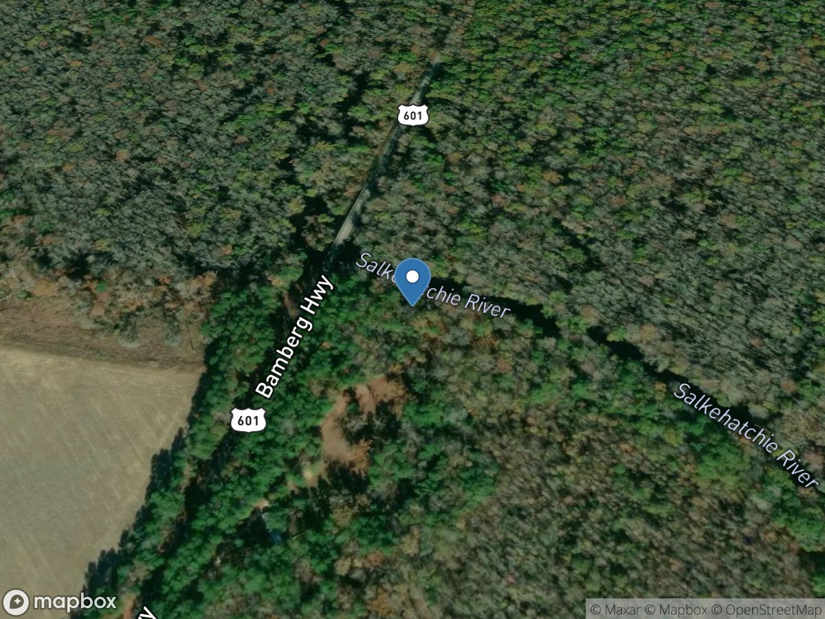 Salkehatchie River near Miley, SC location