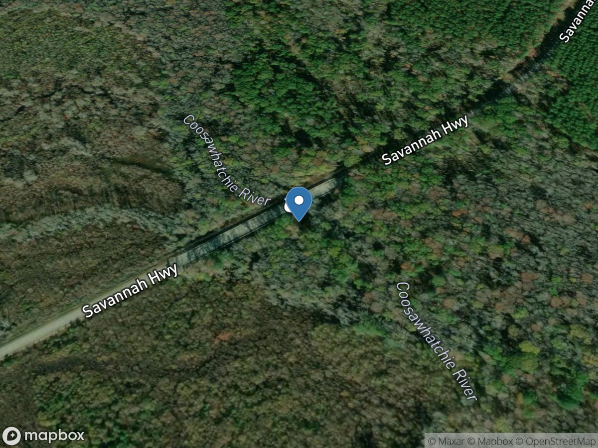 Coosawhatchie River near Hampton, SC location