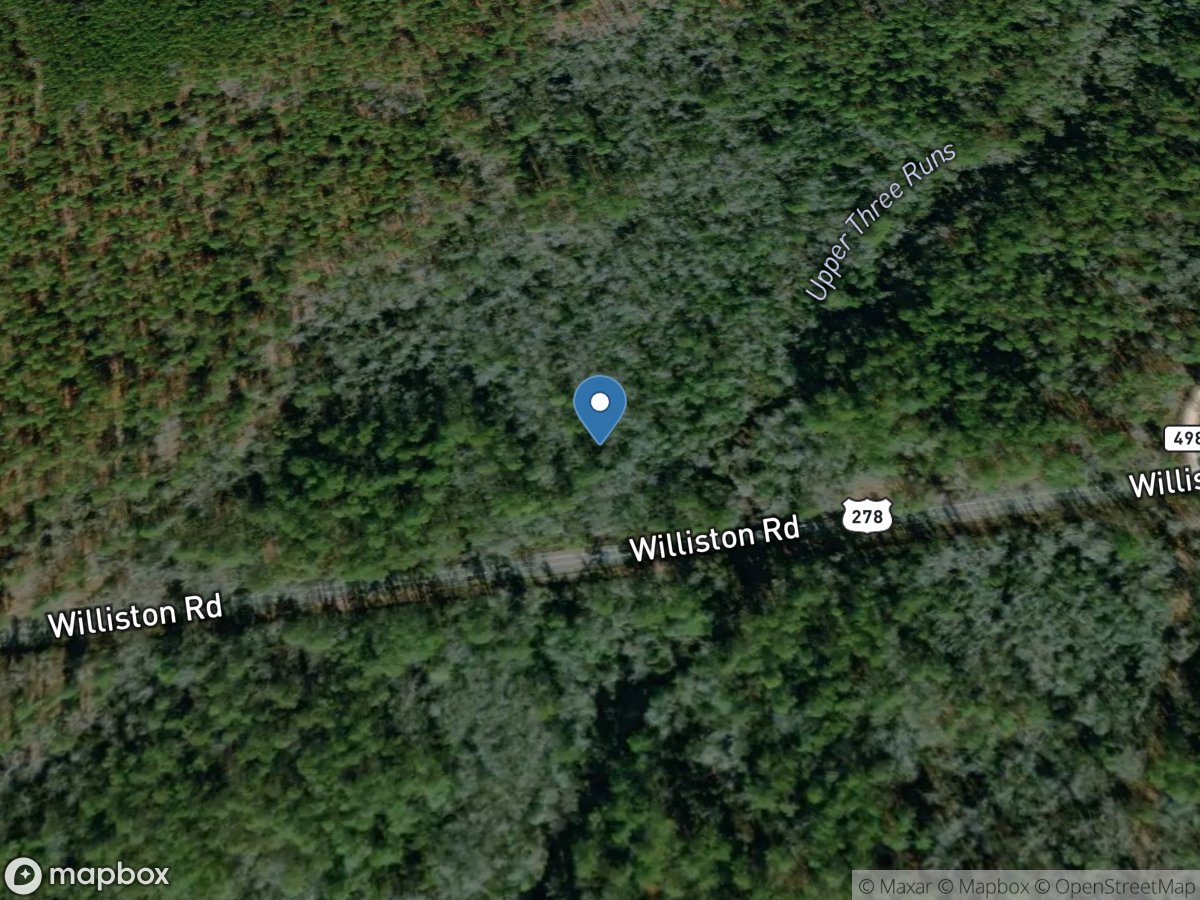 Upper Three Runs near New Ellenton, SC location