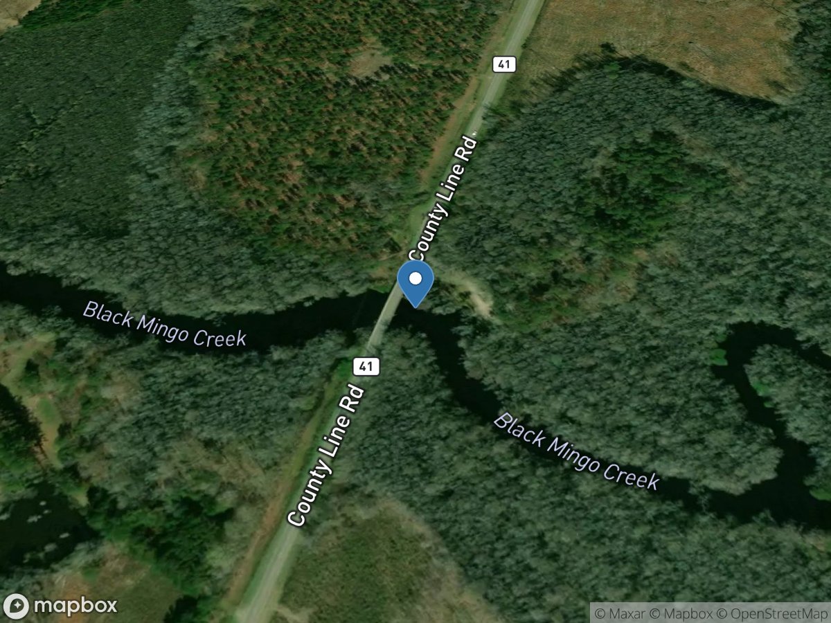 Black Mingo Creek at Sc51 near Andrews,SC location