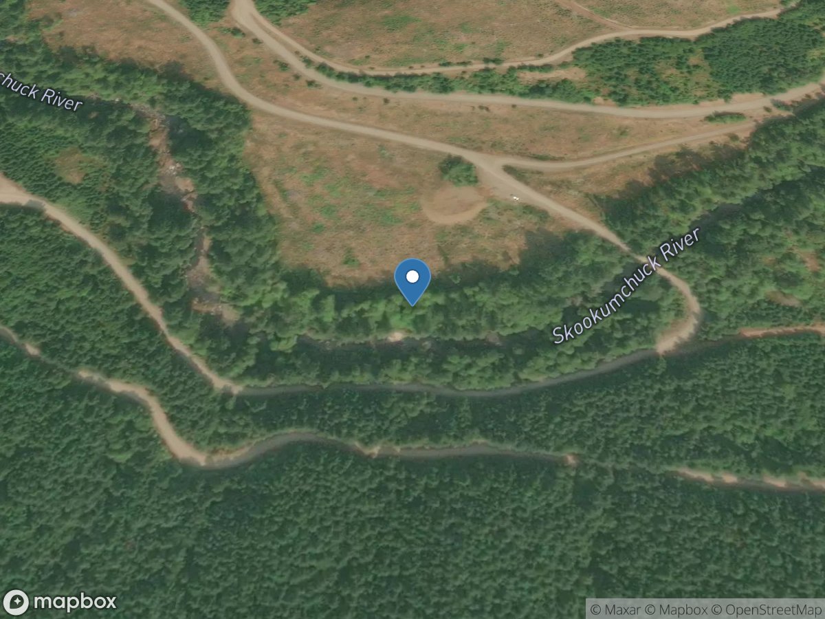 Skookumchuck River near Vail, WA location