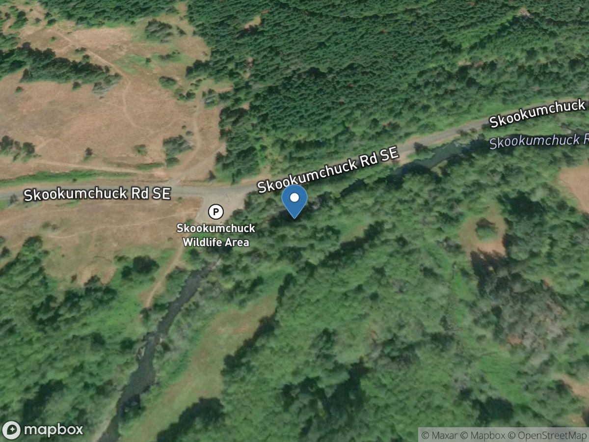 Skookumchuck River below Bldy Run Creek near Centralia, WA location