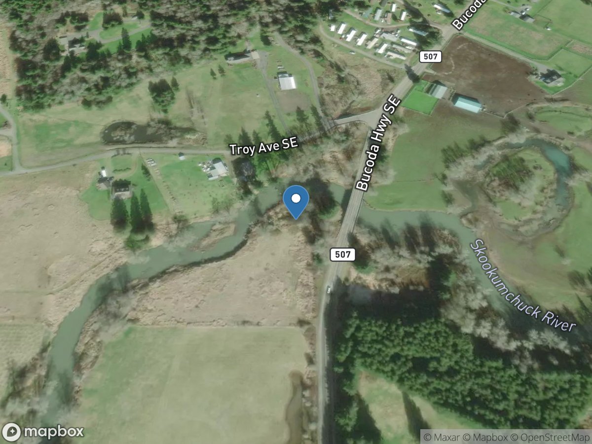 Skookumchuck River near Bucoda, WA location